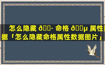 怎么隐藏 🌷 命格 🌵 属性数据「怎么隐藏命格属性数据图片」